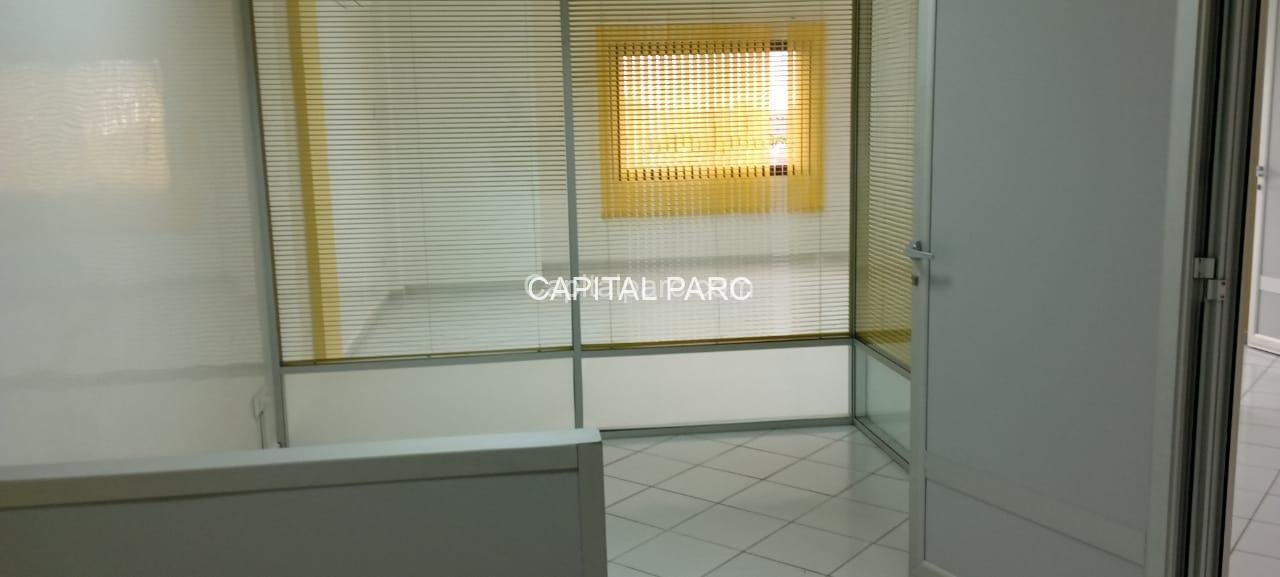 1000065538