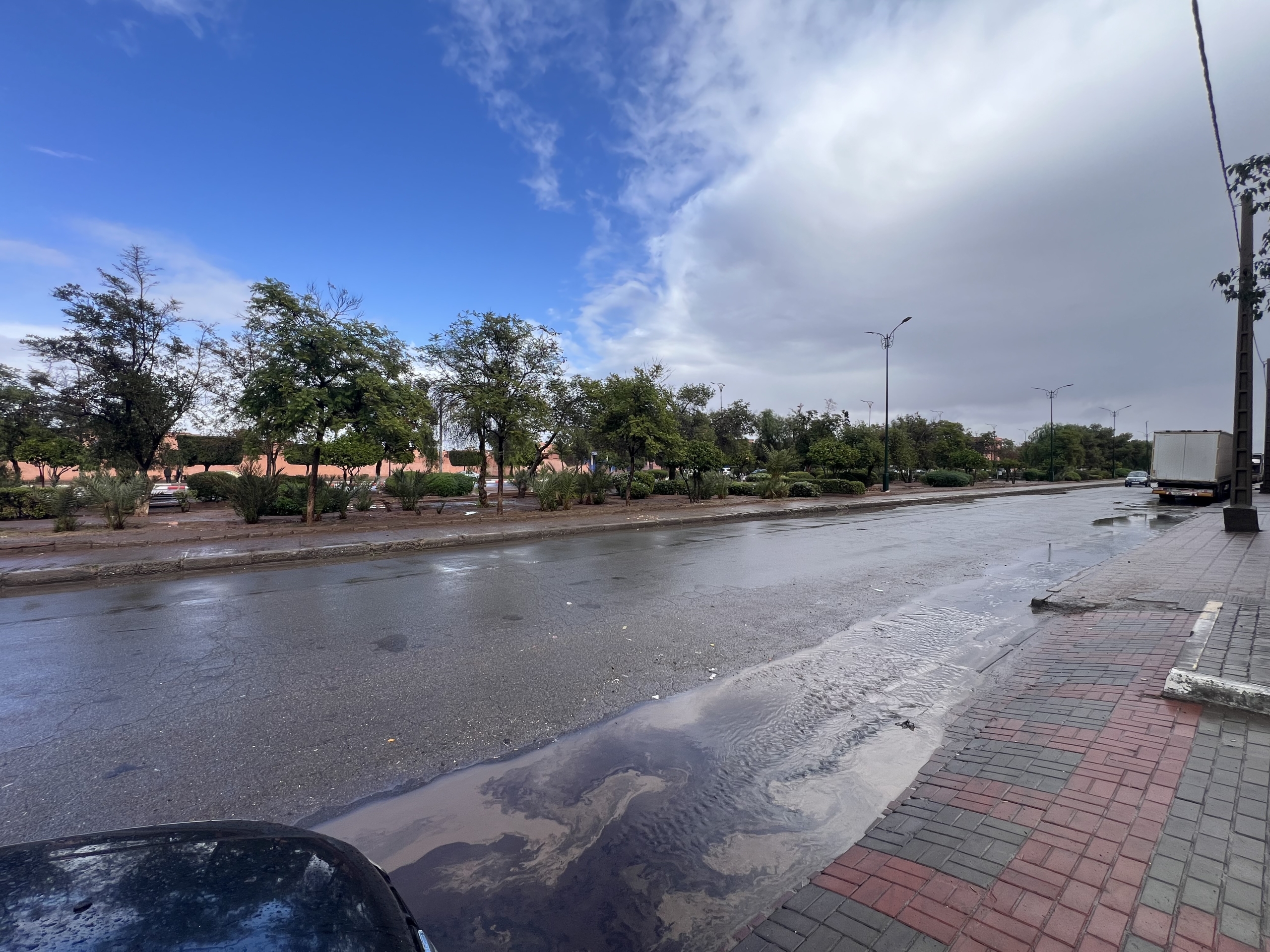 img 8760