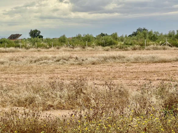 img 5174